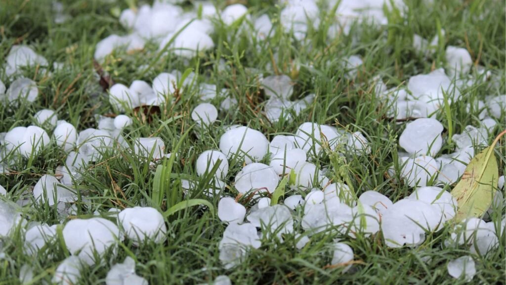 Hail Damage Roofing